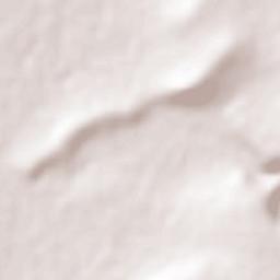 San Pedro Tenango Terrain Map