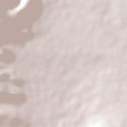 San Nicolás Terrain Map