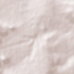 San Joaquín Terrain Map