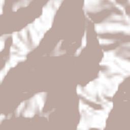 Zacualpan Terrain Map