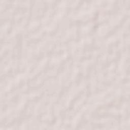 Halachó Terrain Map