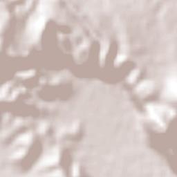 Colonia Lázaro Cárdenas Terrain Map