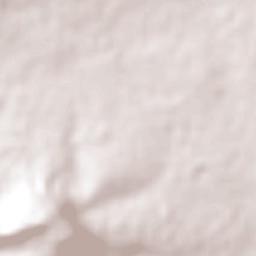 Los Olivos Terrain Map