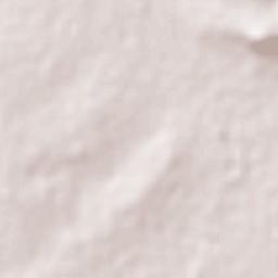 Rinconada la Loma [Fraccionamiento] Terrain Map