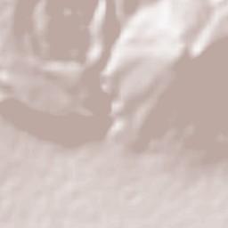 El Platanar Terrain Map