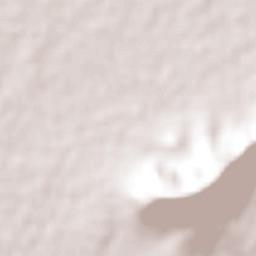 La Floreña Terrain Map