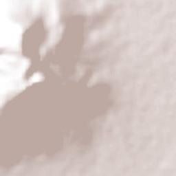 El Tarengo Nuevo Terrain Map