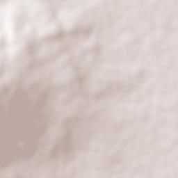 Piedras Negras Terrain Map