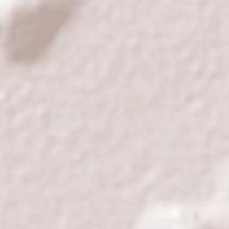 Tierra Fría Terrain Map