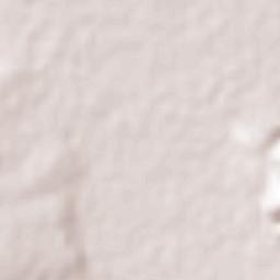 San José el Nuevo Terrain Map