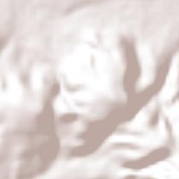 San Lorenzo Terrain Map