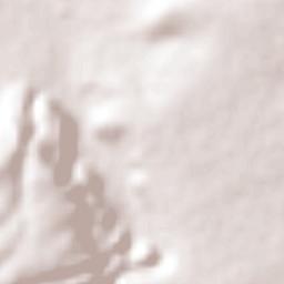 Apaseo el Alto Terrain Map