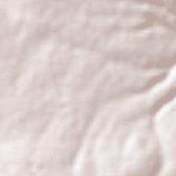 Jonacapa Terrain Map