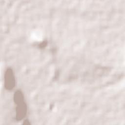 Pueblo Nuevo Terrain Map