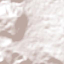 Palo Bendito Terrain Map