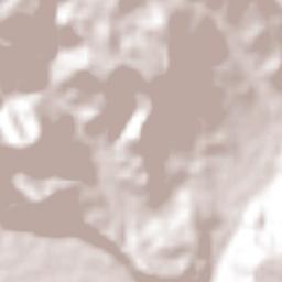 Coronel Tito Hernández Terrain Map