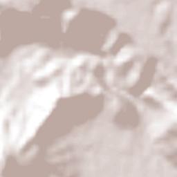 Villa Lázaro Cárdenas Terrain Map