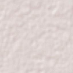 Tixcacalcupul Terrain Map