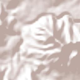 Guayabitos Terrain Map