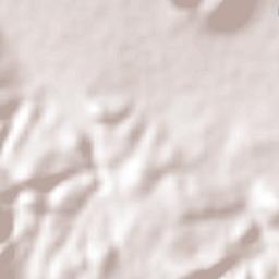 San Lucas Evangelista Terrain Map