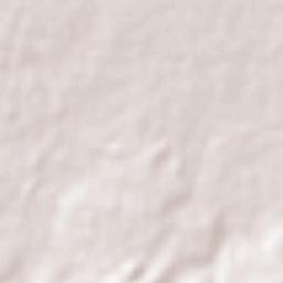 Atequiza Terrain Map