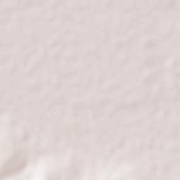 San Miguel Zapotitlán Terrain Map