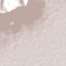 El Lopeño Terrain Map