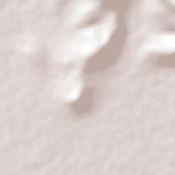 Laguna Larga de Cortés Terrain Map