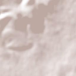 Churipitzeo Terrain Map