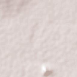 Labor de Peralta Terrain Map