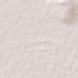 San José del Cerrito de Camargo Terrain Map