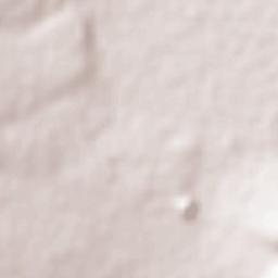 Ojo Seco Terrain Map