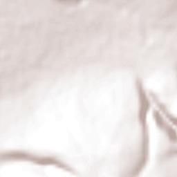 Rincón de Tamayo Terrain Map