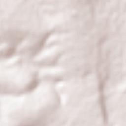 El Jaral Terrain Map