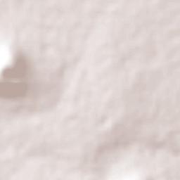 Casa Blanca Terrain Map