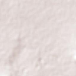 Santa Cruz Escandón Terrain Map