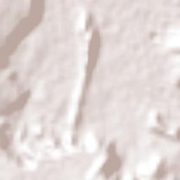 Maguey Blanco Terrain Map