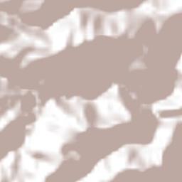 Papaloctipan Terrain Map