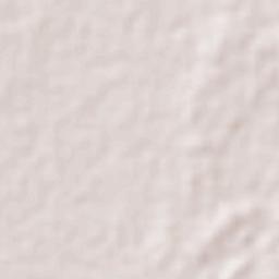 Tepakán Terrain Map