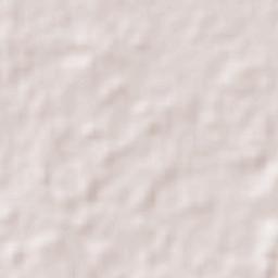 Calkiní Terrain Map