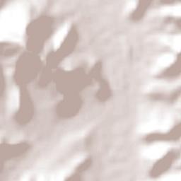 Talpa de Allende Terrain Map