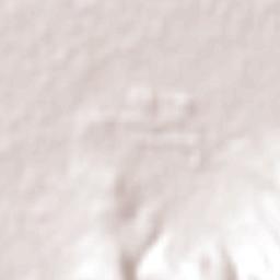 Estancia de San Nicolás Terrain Map