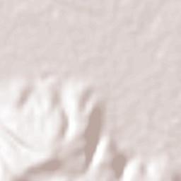 San Luis de Agua Caliente Terrain Map