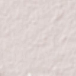 Ocotlán Jalisco Terrain Map