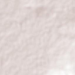 La Orilla de la Cerca Terrain Map