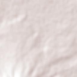 San Miguel de la Paz Terrain Map