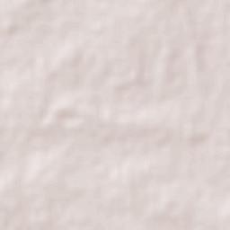 Carrasqueño Terrain Map