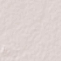 San Antonio de Rivas Terrain Map