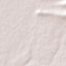 La Concepción Terrain Map