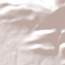 La Ribera Terrain Map